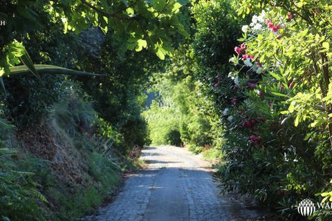 Villa a Monchique, Faro, Monchique - € 1.275.000 | Ref: Arcos - foto 17